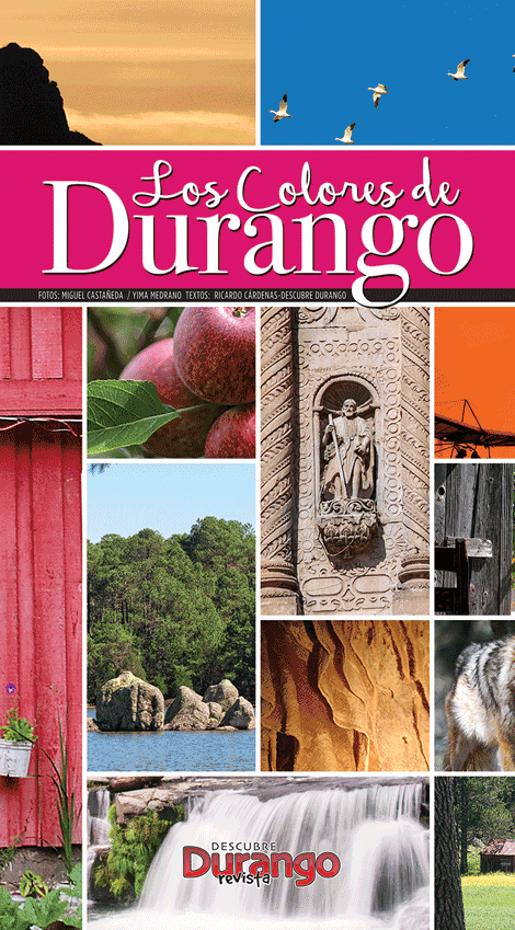 Libro Los Colores de Durango